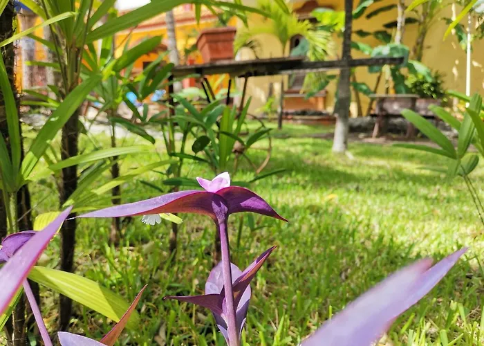 Hacienda Valentina Hotel 3*